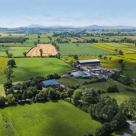 Barn Owl Σπίτι διακοπών