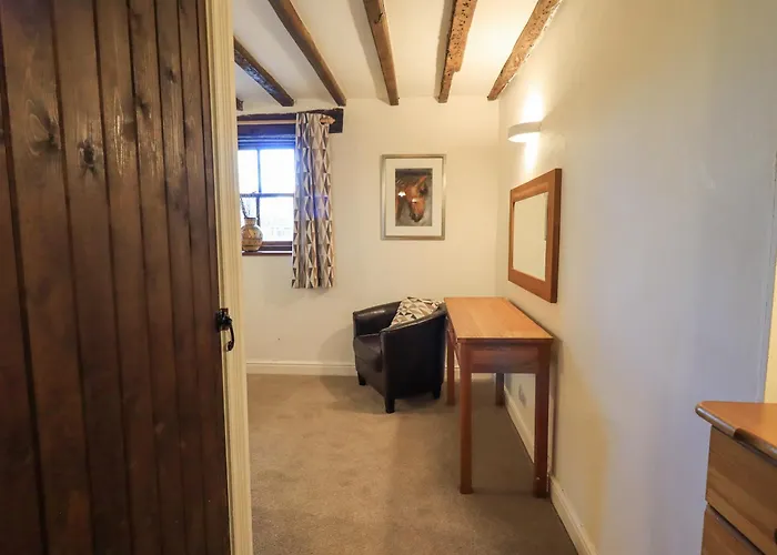 Barn Owl * بنريث