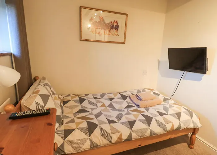 Barn Owl * بنريث