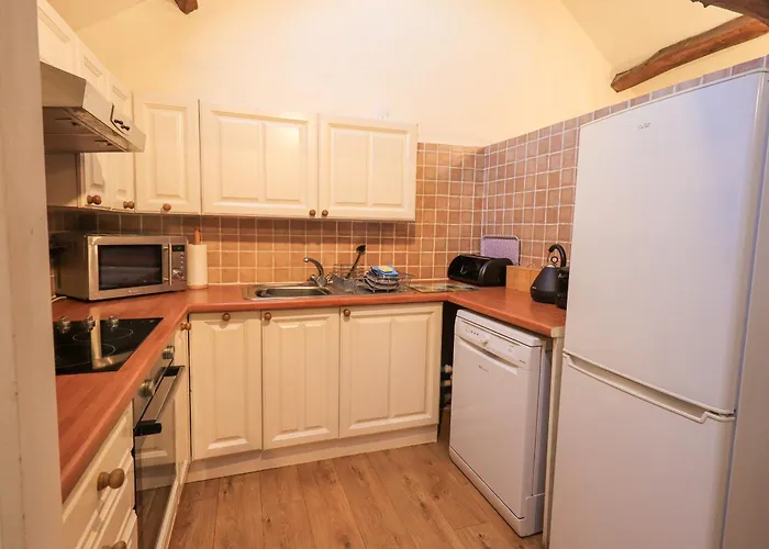 بيت للعطل Barn Owl *