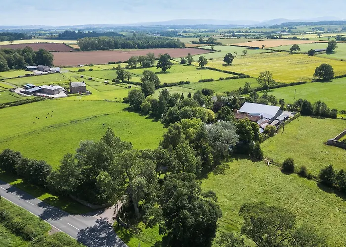 بيت للعطل Barn Owl *