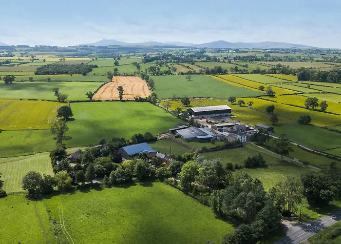 Barn Owl بيت للعطل