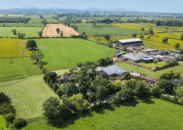 Barn Owl * بنريث